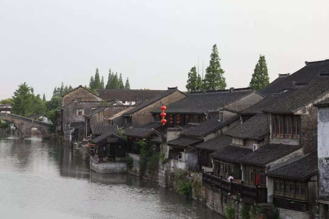 动物帮帮忙保卫家园